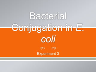 Bacterial Conjugation | PPTX