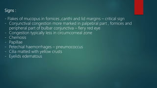 Signs :
- Flakes of mucopus in fornices ,canthi and lid margins – critical sign
- Conjunctival congestion more marked in palpebral part , fornices and
peripheral part of bulbar conjunctiva – fiery red eye
- Congestion typically less in circumcorneal zone
- Chemosis
- Papillae
- Petechial haemorrhages – pneumococcus
- Cilia matted with yellow crusts
- Eyelids edematous
 