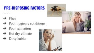 PRE-DISPOSING FACTORS
➔ Flies
➔ Poor hygienic conditions
➔ Poor sanitation
➔ Hot dry climate
➔ Dirty habits
 