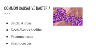 COMMON CAUSATIVE BACTERIA
● Staph. Aureus
● Koch-Weeks bacillus
● Pneumococcus
● Streptococcus
 