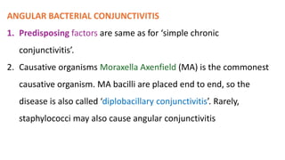 ANGULAR BACTERIAL CONJUNCTIVITIS
1. Predisposing factors are same as for ‘simple chronic
conjunctivitis’.
2. Causative organisms Moraxella Axenfield (MA) is the commonest
causative organism. MA bacilli are placed end to end, so the
disease is also called ‘diplobacillary conjunctivitis’. Rarely,
staphylococci may also cause angular conjunctivitis
 