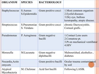 ORGANISM

SPECIES

BACTERIOLOGY

Staphylococcus S.Aureus
Gram positive cocci
S.Epidermidis

1.Most common organism
2.Eyelid diseases
3.Dry eye, bullous
keratopathy, atopic disease.

Streptococcus

S.Pneumoniae Gram positive cocci
S. Viridans

chronic Dacryocystitis.
Corneal grafts .

Pseudomonas

P. Aeruginosa Gram negative
bacilli

1.Contact Lens users
2.Comatose pt.
3.Pt on mechanical ventillator
4.HIV

Moraxella

M.Lacunata

Malnourished, alcoholics ,
diabetes

Nocardia,Actin
omycets
Atypical
Mycobacteria

Gram negative
diplobacilli

Gram positive bacilli Ocular trauma contaminated
by soil
M. Chelonae

Acid fast bacilli

Following LASIK

 