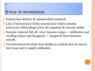 STAGE OF REGRESSION
Natural host defence & antimicrobial treatment
 Line of demarcation forms around ulcer which contains
leucocytes which phagocytose the organism & necrotic debris
 Necrotic material fall off- ulcer becomes larger -> infiltration and
swelling reduce and disappears -> margin & floor becomes
smooth.
 Vascularization develops from limbus to corneal ulcer to restore
lost tissue and to supply antibodies.


 