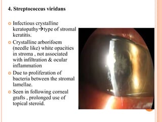 4. Streptococcus viridans
Infectious crystalline
keratopathytype of stromal
keratitis.
 Crystalline arborifoem
(needle like) white opacities
in stroma , not associated
with infiltration & ocular
inflammation
 Due to proliferation of
bacteria between the stromal
lamellae.
 Seen in following corneal
grafts , prolonged use of
topical steroid.


 
