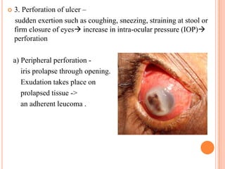 

3. Perforation of ulcer –
sudden exertion such as coughing, sneezing, straining at stool or
firm closure of eyes increase in intra-ocular pressure (IOP)
perforation
a) Peripheral perforation iris prolapse through opening.
Exudation takes place on
prolapsed tissue ->
an adherent leucoma .

 