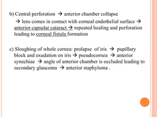 b) Central perforation  anterior chamber collapse
 lens comes in contact with corneal endothelial surface 
anterior capsular cataract  repeated healing and perforation
leading to corneal fistula formation
c) Sloughing of whole cornea: prolapse of iris  pupillary
block and exudation on iris  pseudocornea  anterior
synechiae  angle of anterior chamber is occluded leading to
secondary glaucoma  anterior staphyloma .

 
