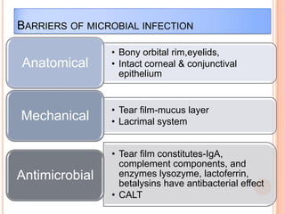 BARRIERS OF MICROBIAL INFECTION

Anatomical

• Bony orbital rim,eyelids,
• Intact corneal & conjunctival
epithelium

Mechanical

• Tear film-mucus layer
• Lacrimal system

Antimicrobial

• Tear film constitutes-IgA,
complement components, and
enzymes lysozyme, lactoferrin,
betalysins have antibacterial effect
• CALT

 