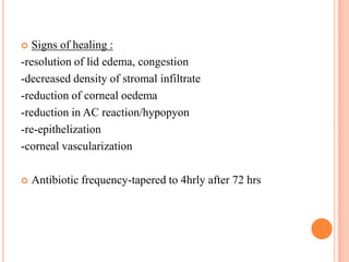 Signs of healing :
-resolution of lid edema, congestion
-decreased density of stromal infiltrate
-reduction of corneal oedema
-reduction in AC reaction/hypopyon
-re-epithelization
-corneal vascularization




Antibiotic frequency-tapered to 4hrly after 72 hrs

 