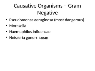 Causative Organisms – Gram
Negative
• Pseudomonas aeruginosa (most dangerous)
• Moraxella
• Haemophilus influenzae
• Neisseria gonorrhoeae
 