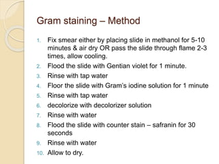 Gram staining – Method
1. Fix smear either by placing slide in methanol for 5-10
minutes & air dry OR pass the slide through flame 2-3
times, allow cooling.
2. Flood the slide with Gentian violet for 1 minute.
3. Rinse with tap water
4. Floor the slide with Gram’s iodine solution for 1 minute
5. Rinse with tap water
6. decolorize with decolorizer solution
7. Rinse with water
8. Flood the slide with counter stain – safranin for 30
seconds
9. Rinse with water
10. Allow to dry.
 