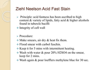 Ziehl Neelson Acid Fast Stain
 Principle: acid fastness has been ascribed to high
content & variety of lipids, fatty acid & higher alcohols
found in tubercle bacilli
 Integrity of cell wall
 Procedure:
 Make smears, air dry & heat fix them.
 Flood smear with carbol fuschin.
 Keep it for 5 mins with intermittent heating.
 Wash with water & pour 20% H2SO4 on the smear,
keep for 2 mins.
 Wash again & pour loefflers methylene blue for 30 sec.
 
