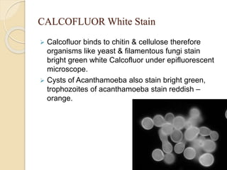 CALCOFLUOR White Stain
 Calcofluor binds to chitin & cellulose therefore
organisms like yeast & filamentous fungi stain
bright green white Calcofluor under epifluorescent
microscope.
 Cysts of Acanthamoeba also stain bright green,
trophozoites of acanthamoeba stain reddish –
orange.
 