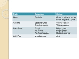 Stain Organism Colour
Gram Bacteria Gram positive – purple
Gram negative – pink
Acridine Bacteria fungi
Acanthamoeba
Yellow orange
Yellow orange
Calcofluor Fungi
Ac. Cysts
Ac. Trophozoites
Bright green
Bright green
Reddish orange
Acid Fast Mycobacteria pink
 