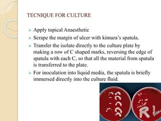 TECNIQUE FOR CULTURE
 Apply topical Anaesthetic
 Scrape the margin of ulcer with kimura’s spatula.
 Transfer the isolate directly to the culture plate by
making a row of C shaped marks, reversing the edge of
spatula with each C, so that all the material from spatula
is transferred to the plate.
 For inoculation into liquid media, the spatula is briefly
immersed directly into the culture fluid.
 