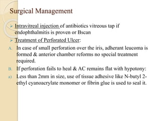 Surgical Management
 Intravitreal injection of antibiotics vitreous tap if
endophthalmitis is proven or Bscan
 Treatment of Perforated Ulcer:
A. In case of small perforation over the iris, adherant leucoma is
formed & anterior chamber reforms no special treatment
required.
B. If perforation fails to heal & AC remains flat with hypotony:
a) Less than 2mm in size, use of tissue adhesive like N-butyl 2-
ethyl cyanoacrylate monomer or fibrin glue is used to seal it.
 