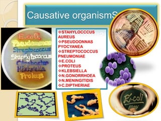 Causative organismS:
STAHYLOCCCUS
AUREUS
PSEUDOONNAS
PYOCYANEA
STREPTOCOCCUS
PNEUMONIAE
E.COLI
PROTEUS
KLEBSIELLA
N.GONORRHOEA
N.MENINGITIDIS
C.DIPTHERIAE
 