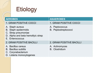 Etiology
AEROBES ANAEROBES
1. GRAM POSITIVE COCCI 1. GRAM POSITIVE COCCI
A. Staph aureus
B. Staph epidermidis
C. Strep pneumoniae
D. Alpha and beta hemoltyic strep
E. Enterococcus
A. Peptococcus
B. Peptostreptococci
2. GRAM POSITIVE BACILLI 2. GRAM POSITIVE BACILLI
A. Bacillus cereus
B. Bacillus subtilis
C. Corynebacterium
D. Listeria monocytogenes
A. Actinomyces
B. Clostridium
 