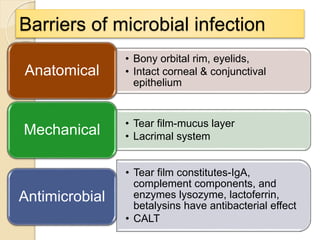 Barriers of microbial infection
• Bony orbital rim, eyelids,
• Intact corneal & conjunctival
epithelium
Anatomical
• Tear film-mucus layer
• Lacrimal systemMechanical
• Tear film constitutes-IgA,
complement components, and
enzymes lysozyme, lactoferrin,
betalysins have antibacterial effect
• CALT
Antimicrobial
 