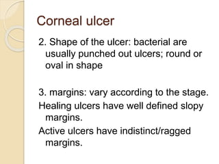 Corneal ulcer
2. Shape of the ulcer: bacterial are
usually punched out ulcers; round or
oval in shape
3. margins: vary according to the stage.
Healing ulcers have well defined slopy
margins.
Active ulcers have indistinct/ragged
margins.
 