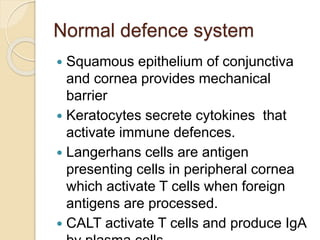 Normal defence system
 Squamous epithelium of conjunctiva
and cornea provides mechanical
barrier
 Keratocytes secrete cytokines that
activate immune defences.
 Langerhans cells are antigen
presenting cells in peripheral cornea
which activate T cells when foreign
antigens are processed.
 CALT activate T cells and produce IgA
 