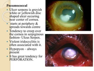 Pneumococcal
 Ulcer serpens is greyish
white or yellowish disc
shaped ulcer occuring
near center of cornea.
 starts at periphery &
spreads towards centre
 Tendency to creep over
the cornea in serpiginous
fashion- Ulcus Serpen.
 Violent iridocyclitis is
often associated with it.
 Hypopyon – always
present
 It has great tendency for
PERFORATION.
 