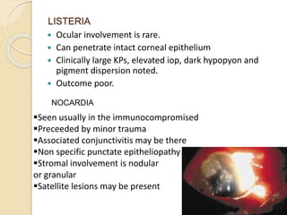 LISTERIA
 Ocular involvement is rare.
 Can penetrate intact corneal epithelium
 Clinically large KPs, elevated iop, dark hypopyon and
pigment dispersion noted.
 Outcome poor.
NOCARDIA
Seen usually in the immunocompromised
Preceeded by minor trauma
Associated conjunctivitis may be there
Non specific punctate epitheliopathy
Stromal involvement is nodular
or granular
Satellite lesions may be present
 