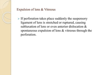 Expulsion of lens & Vitreous
 If perforation takes place suddenly the suspensory
ligament of lens is stretched or ruptured, causing
subluxation of lens or even anterior dislocation &
spontaneous expulsion of lens & vitreous through the
perforation.
 