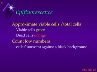 6
08/28/18
EpifluorescenceEpifluorescence
Approximate viable cells /total cells
Viable cells green
Dead cells orange
Count low numbers
cells fluorscent against a black background
 
