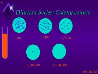 9
08/28/18
Dilution Series: Colony countsDilution Series: Colony counts
1/100,000
1/100 1/1,0001/10
1/10,000
 