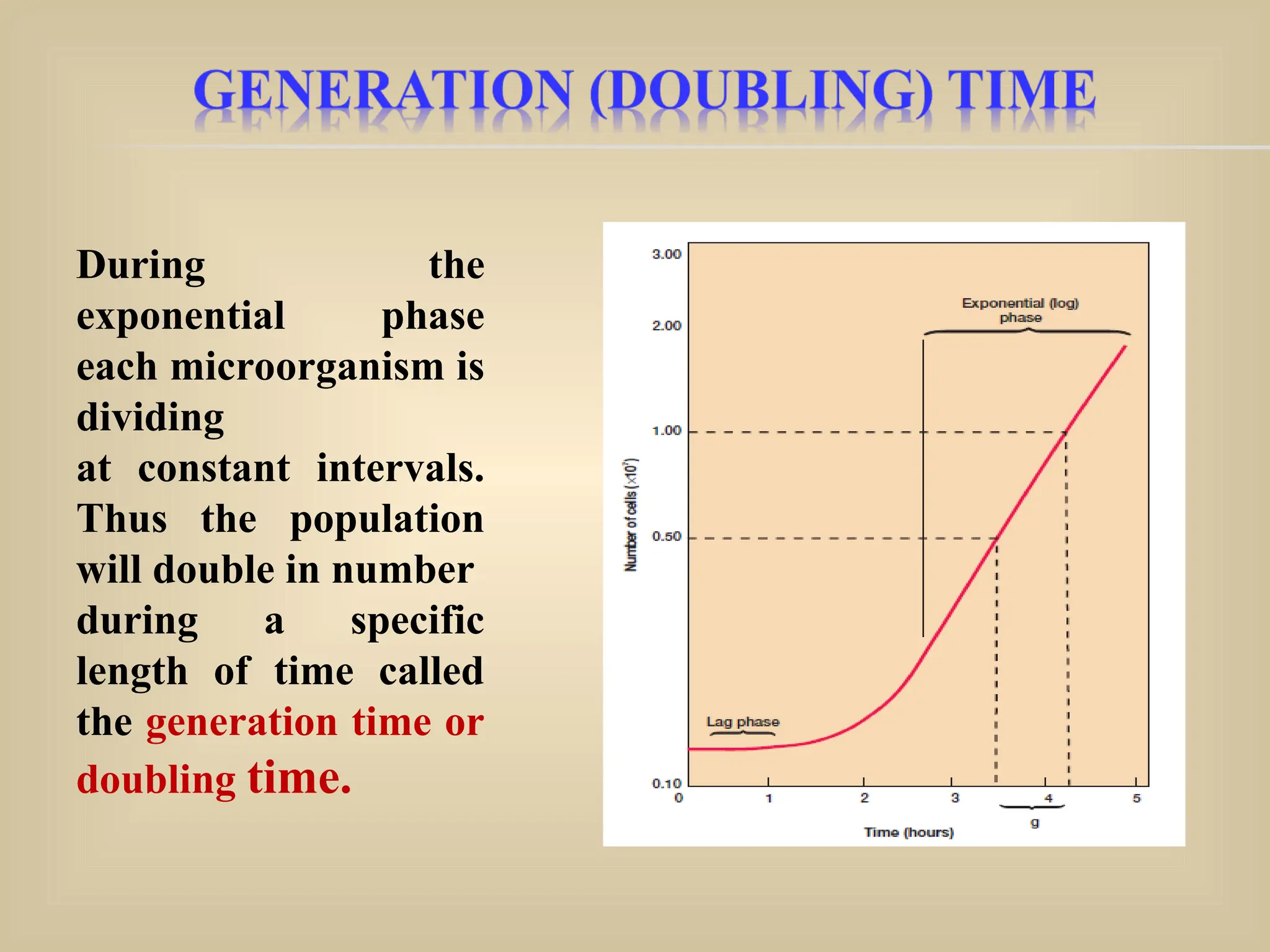 During the
exponential phase
each microorganism is
dividing
at constant intervals.
Thus the population
will double in number
during a specific
length of time called
the generation time or
doubling time.
 