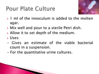  1 ml of the innoculum is added to the molten
agar.
 Mix well and pour to a sterile Petri dish.
 Allow it to set depth of the medium.
 Uses:
– Gives an estimate of the viable bacterial
count in a suspension.
– For the quantitative urine cultures.
 