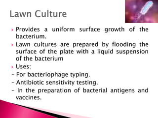  Provides a uniform surface growth of the
bacterium.
 Lawn cultures are prepared by flooding the
surface of the plate with a liquid suspension
of the bacterium
 Uses:
– For bacteriophage typing.
– Antibiotic sensitivity testing.
– In the preparation of bacterial antigens and
vaccines.
 