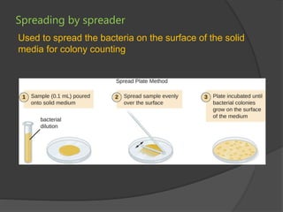 Bacterial Culture pptx