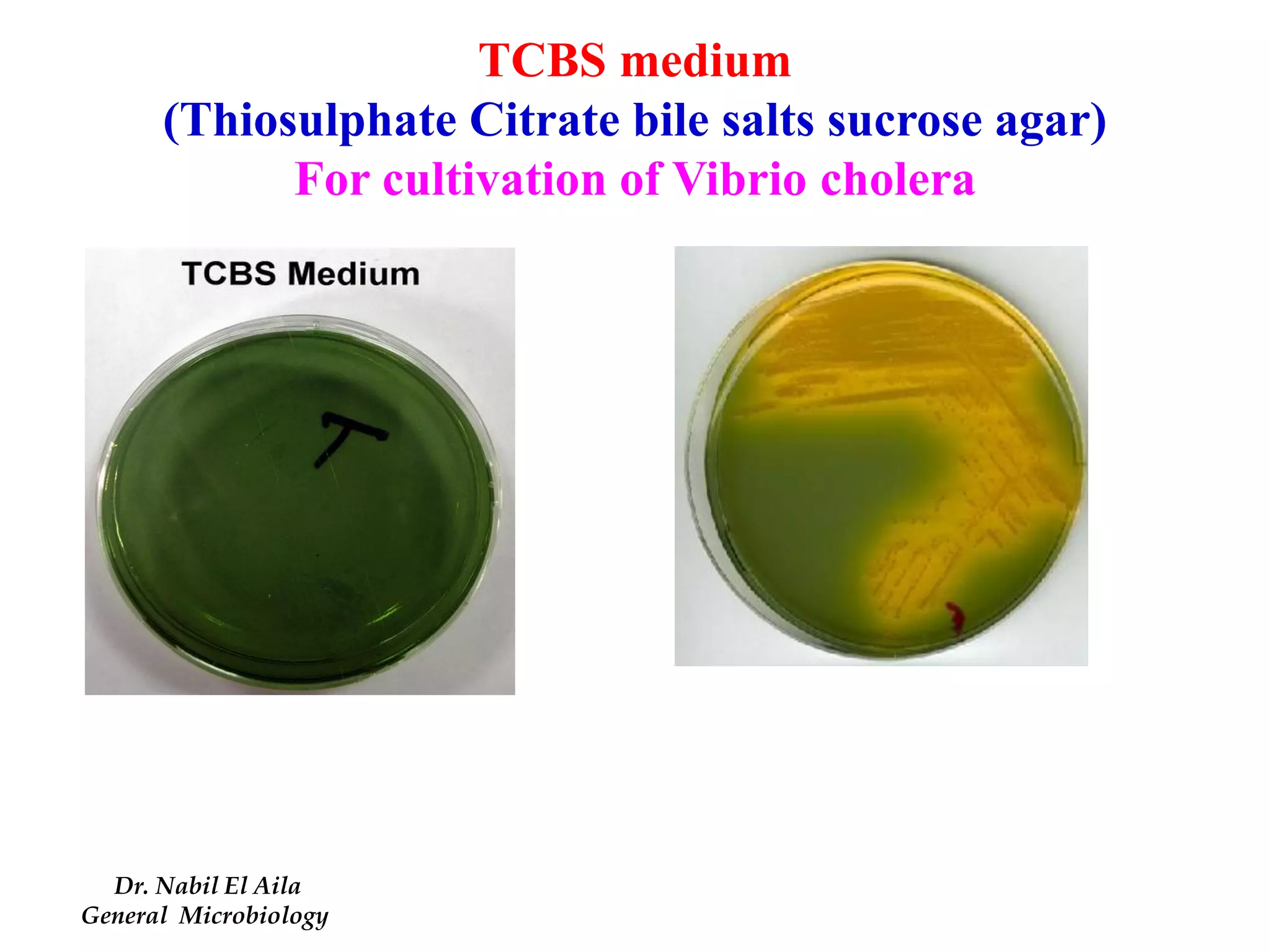 Bacterial culture media بكتريا عملي | PDF