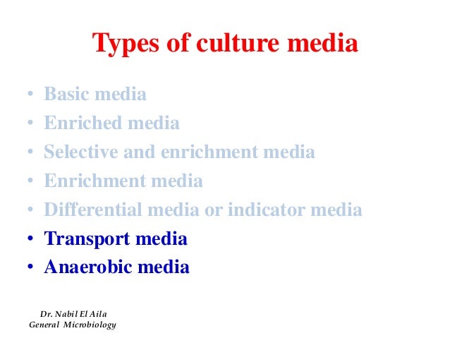 Media net work culture