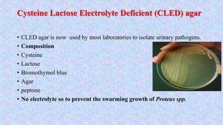 Bacterial culture media by manoj | PPTX