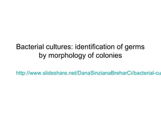 Bacterial cultures: identification of germs
by morphology of colonies
http://www.slideshare.net/DanaSinzianaBreharCi/bacterial-cu
 