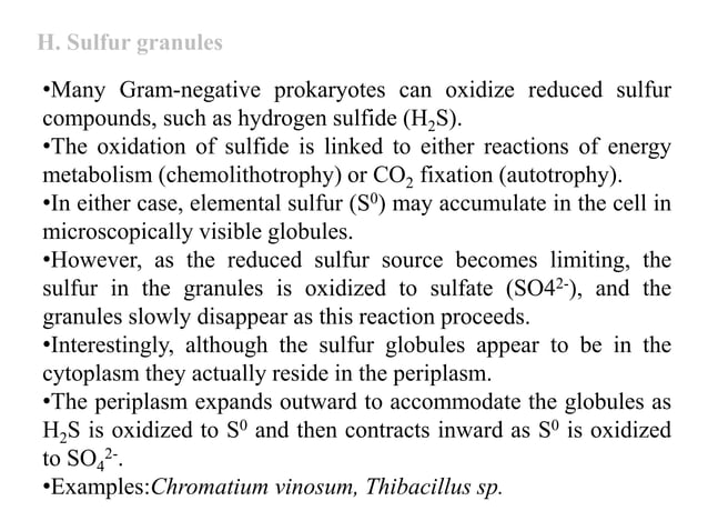 Bacterial cytology cell inclusions | PPTX | Chemistry | Science