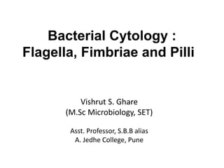 Bacterial Cytology :
Flagella, Fimbriae and Pilli
Vishrut S. Ghare
(M.Sc Microbiology, SET)
Asst. Professor, S.B.B alias
A. Jedhe College, Pune
 