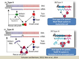 BACTERIAL DEFENSE SYSTEM by Dr. Chayanika Das | PPTX