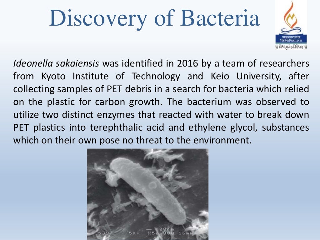 Bacterial degradation of plastic