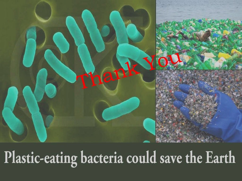 Bacterial degradation of plastic