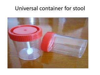 Stool Routine Container Bacterial diarrhea and dysentery | PPTX