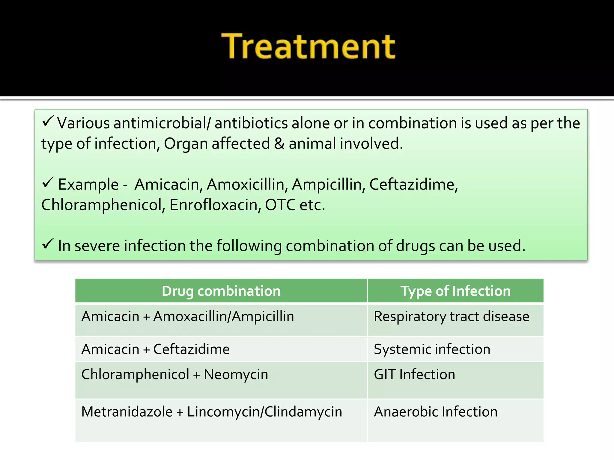 Bacterial diseaes of reptiles | PPTX