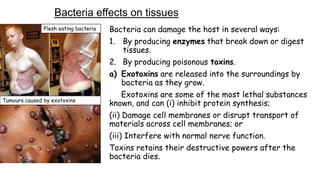 Bacteria effects on tissues
Flesh eating bacteria

Tumours caused by exotoxins

Bacteria can damage the host in several ways:
1. By producing enzymes that break down or digest
tissues.
2. By producing poisonous toxins.
a) Exotoxins are released into the surroundings by
bacteria as they grow.
Exotoxins are some of the most lethal substances
known, and can (i) inhibit protein synthesis;
(ii) Damage cell membranes or disrupt transport of
materials across cell membranes; or
(iii) Interfere with normal nerve function.
Toxins retains their destructive powers after the
bacteria dies.

 