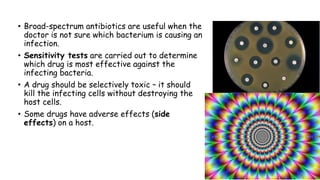 • Broad-spectrum antibiotics are useful when the
doctor is not sure which bacterium is causing an
infection.
• Sensitivity tests are carried out to determine
which drug is most effective against the
infecting bacteria.
• A drug should be selectively toxic – it should
kill the infecting cells without destroying the
host cells.
• Some drugs have adverse effects (side
effects) on a host.

 