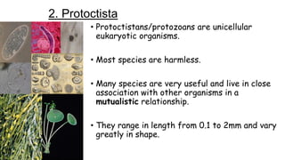 2. Protoctista
• Protoctistans/protozoans are unicellular
eukaryotic organisms.
• Most species are harmless.
• Many species are very useful and live in close
association with other organisms in a
mutualistic relationship.
• They range in length from 0.1 to 2mm and vary
greatly in shape.

 