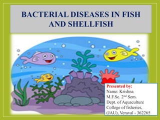 Presented by:
Name: Krishna
M.F.Sc. 2nd Sem.
Dept. of Aquaculture
College of fisheries,
(JAU), Veraval - 362265
BACTERIAL DISEASES IN FISH
AND SHELLFISH
 