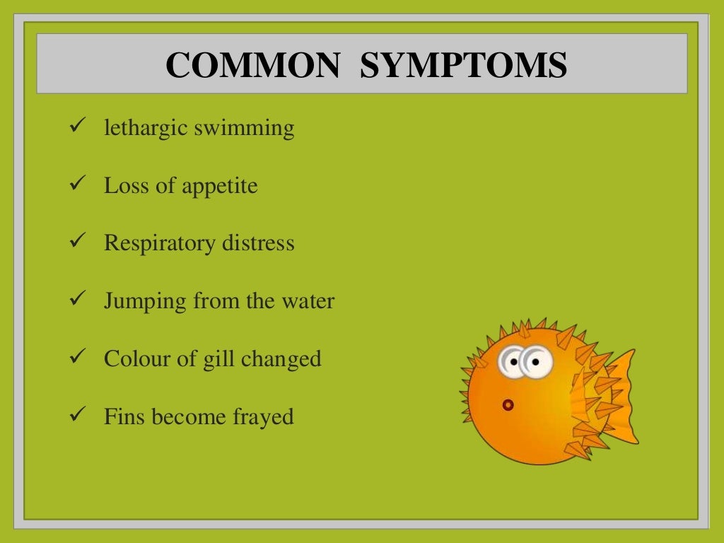Bacterial disease in finfish and shellfish