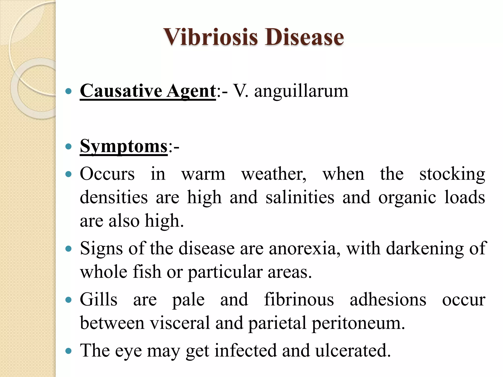 Bacterial disease of finfish and their management | PPTX